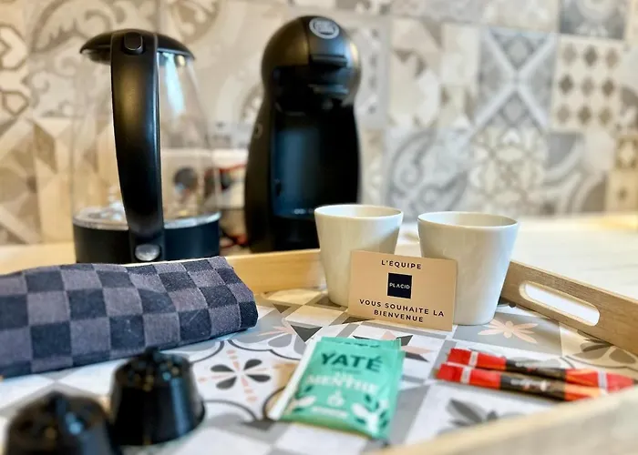 Le Boheme - Hyper Centre - Cosy Appartement Mont-de-Marsan